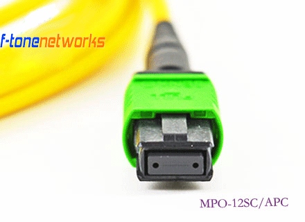 壹号娱乐app官网(中国)官方版下载